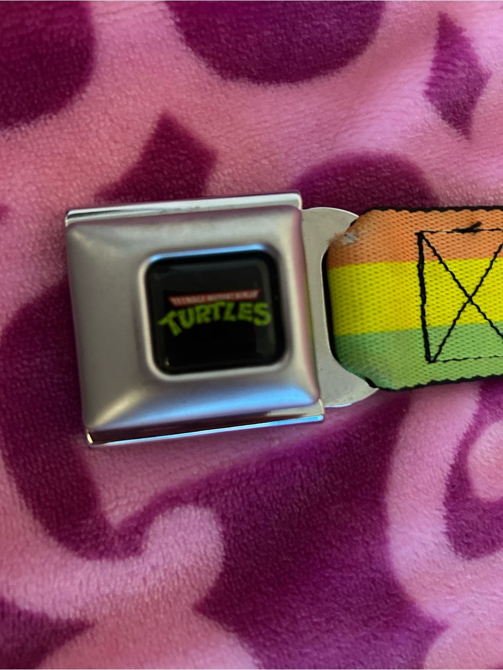 Buckle-Down Rainbow Stripe Belt with Turtle Logo Buckle